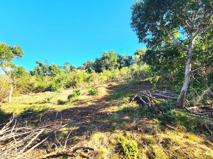 Commercial Property for Sale in Langvlei Dunes Western Cape